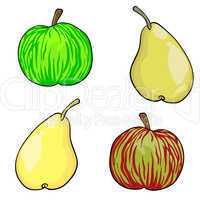 apple and pear fruit set of vector