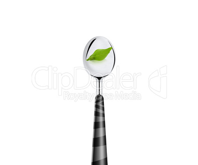 green leaf and spoon