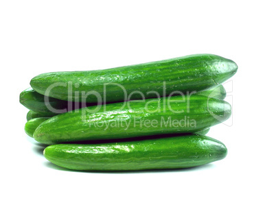 Fresh Cucumber