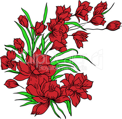 Flower bouquet, painted by hand. Vector illustration.