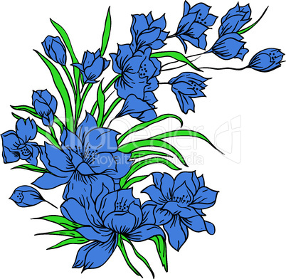 Flower bouquet, painted by hand. Vector illustration.