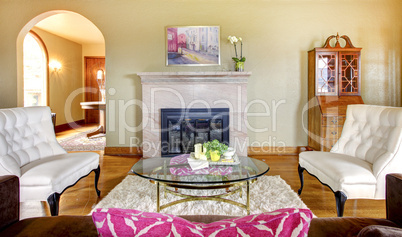 Elegant gold and pink fireplace  in livingroom interior.