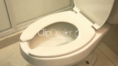 Cleaning a Toilet Bowl