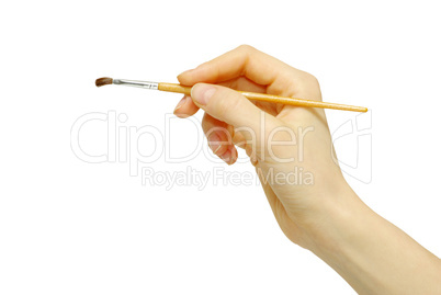 brush in a hand brush in a hand