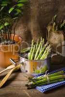 green Asparagus