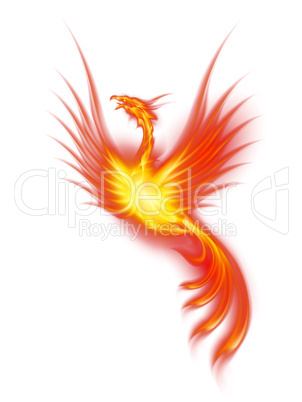 Burning phoenix