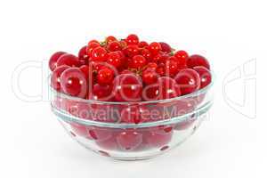 Sweet cherry and currants