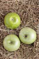 Drei grüne Äpfel