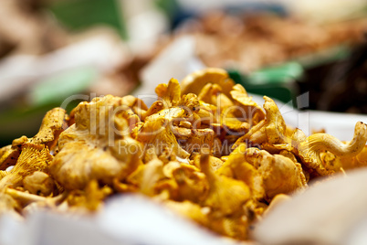 fresh chanterelle