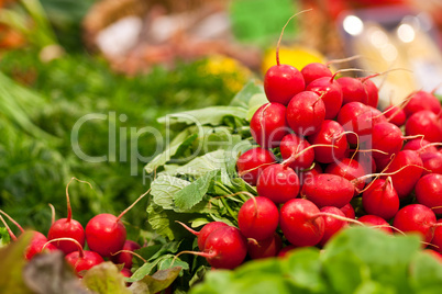 fresh radish on the market