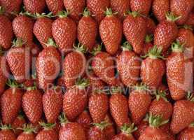 strawberry