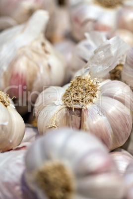 fresh onion closeup on a market