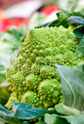 fresh green romanesco on a market closeup