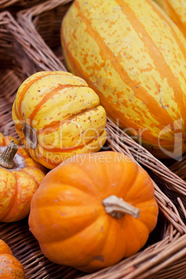 yellow pumpkin closeup in a basket