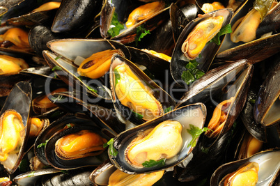 mussels mariniere