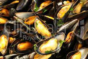 mussels mariniere