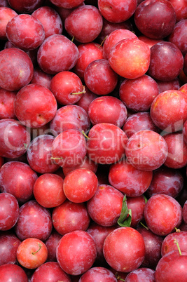 plum