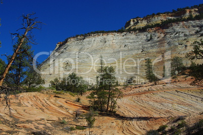 Rock layers, trees, mountains and deep-blue sky, Zion National Park, Utah