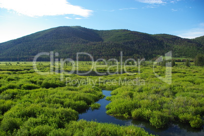 Green high mountain valley with streams and lake, Salmon Challis National Forest, Idaho