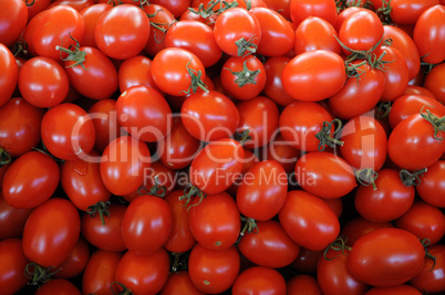 tomato