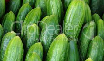 cucumber