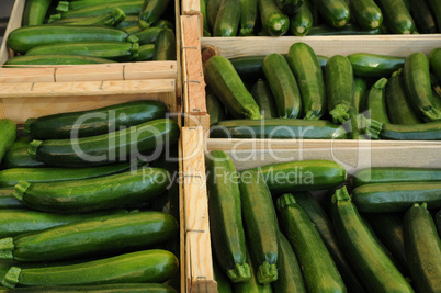 zucchini