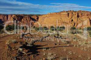 Dry trees, red rock hills and mountains, Capitol Reef National Park, Utah