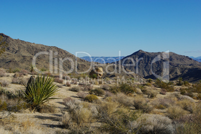 High desert impression with "face rock" near Christmas Pass, Nevada