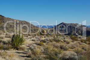 High desert impression with "face rock" near Christmas Pass, Nevada