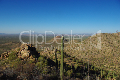 Saguaros, rocks, hills and Tucson, Arizona, in the distance