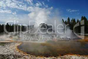 Geysir and hot pool in Yellowstone National Park, Wyoming