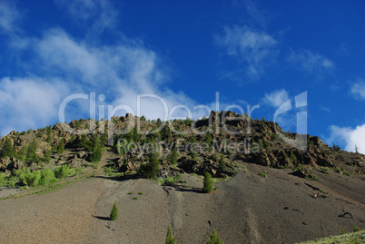 Trees, rocks and mountains in high valley, Salmon Challis National Forest, Idaho