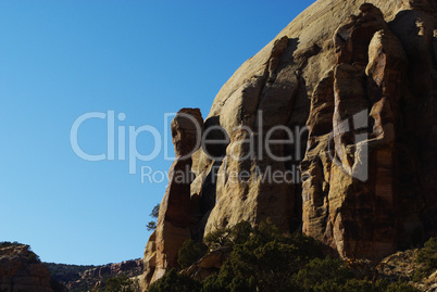 Repenting rock in a side canyon near Canyonlands National Park, Utah