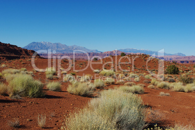 Red and green desert with high mountains near White Canyon, Utah