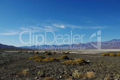 Green spots in Death Valley, California
