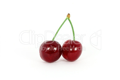 Two sweet cherries