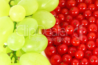 Grapes and currants