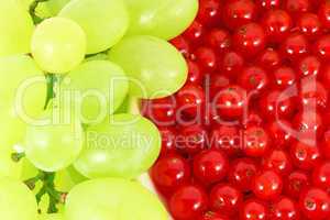 Grapes and currants