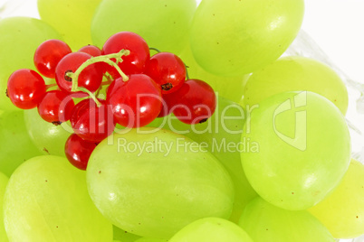 Grapes and currants