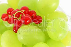 Grapes and currants