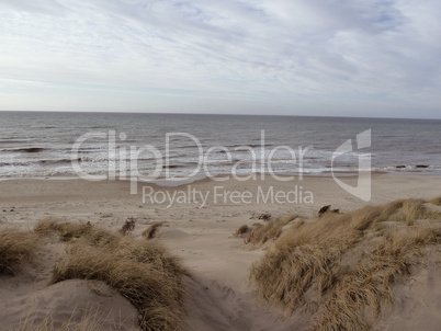 sandy coastline in north denmark