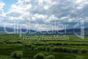High green valley near Polaris, Montana