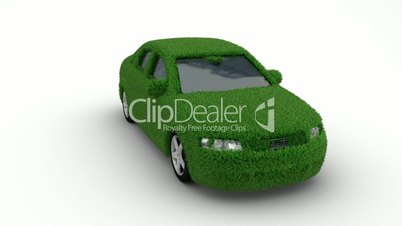 car grass loop