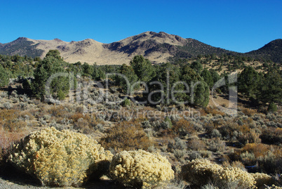 Colourful vegetation and mountains, Humboldt Toiyabe National Forest, Nevada