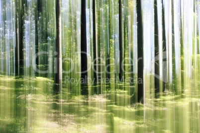 forest vertical motion blur