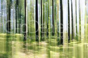 forest vertical motion blur