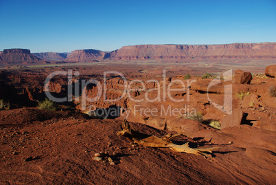 Dry log and rocks near Fisher Towers with Colorado River in the distance, Utah