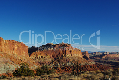 Dry tree, view on multicoloured rocks and mountains, Capitol Reef National Park, Utah