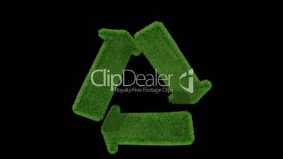 recycle grass loop