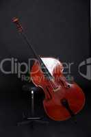 Contrabass in front of black background